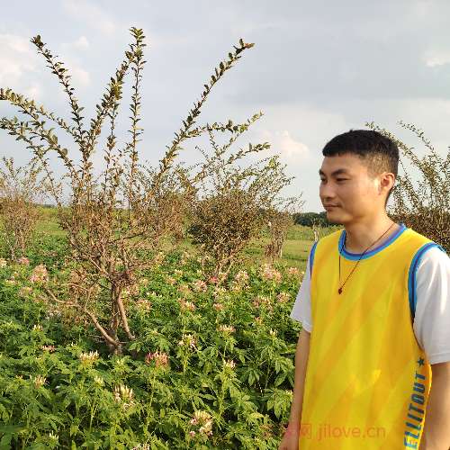 37岁岁广东单身帅哥 - 吴忠吉缘网